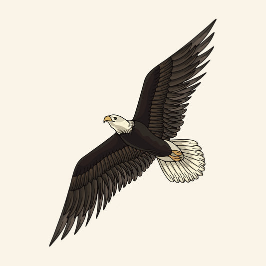 "Eagle" Sticker